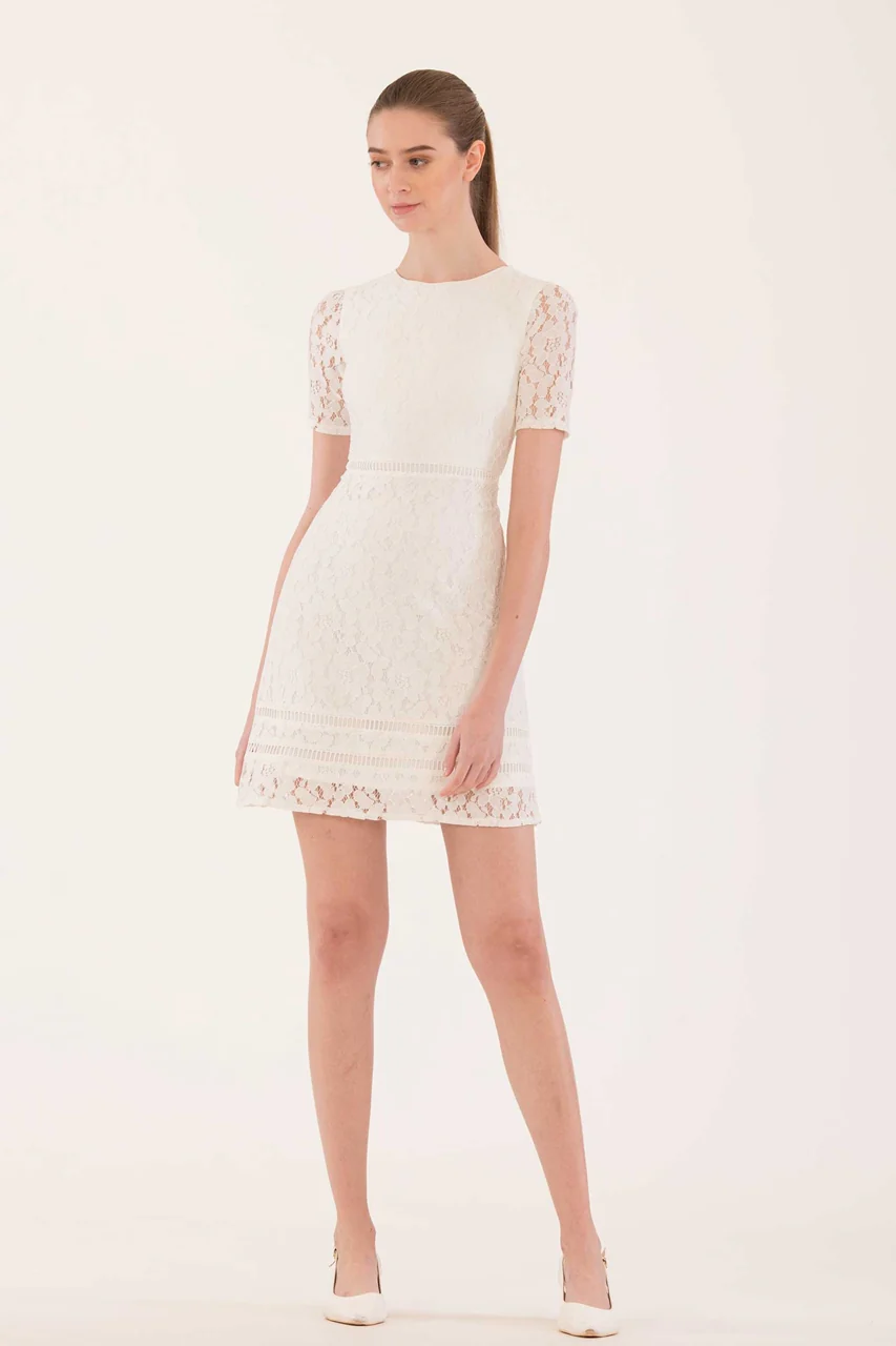 Delansim (White) - Image 2