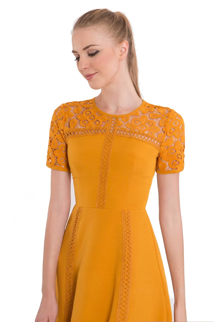 New Dazhost (Mustard) - Image 4