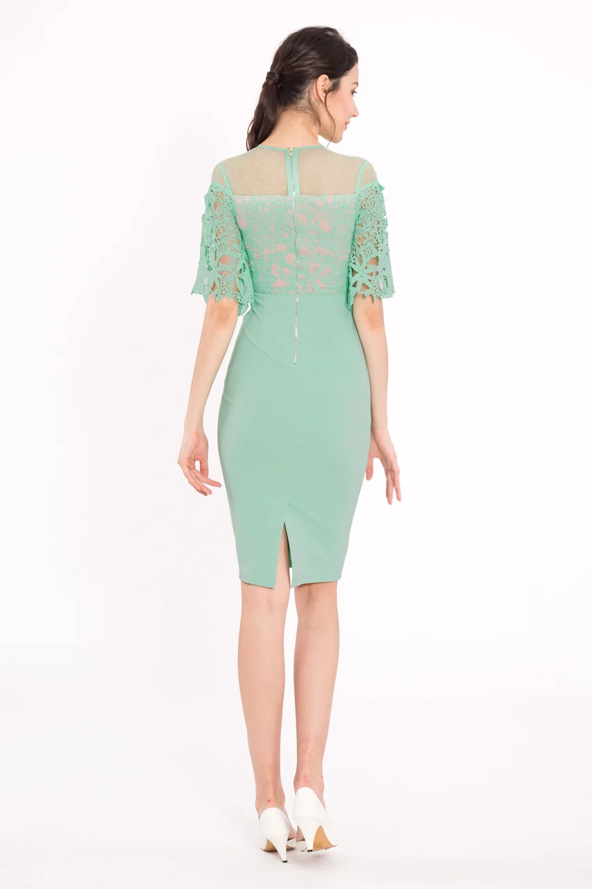 Doraifin (Powder Green) - Image 4