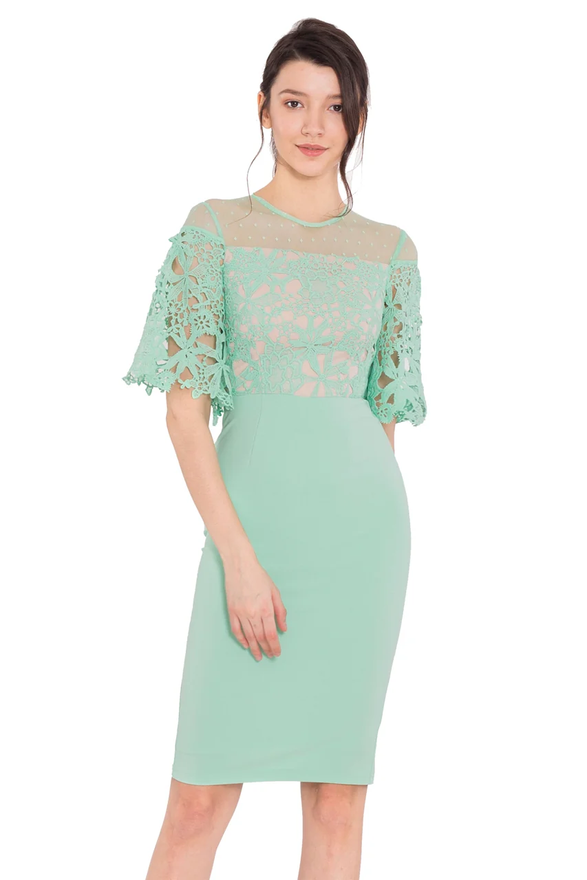 Doraifin (Powder Green) - Image 6