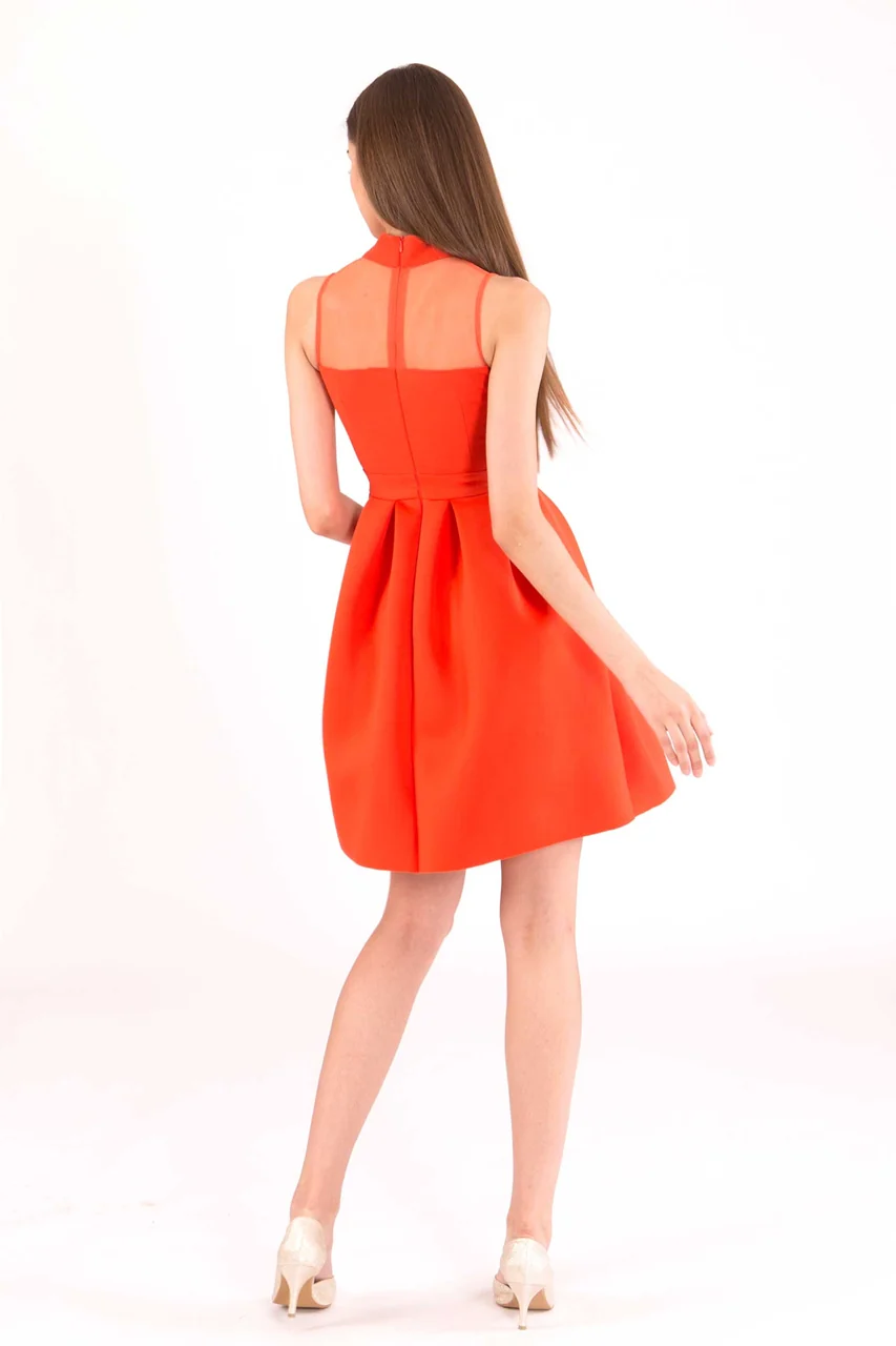 Daryex (Tangerine) - Image 5