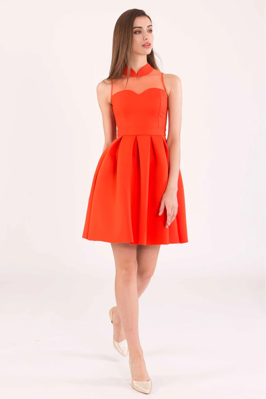 Daryex (Tangerine) - Image 6