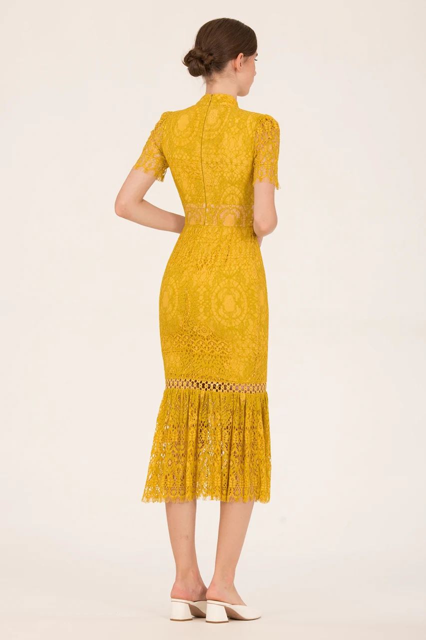 Dumokwang (Sunflower Yellow) - Image 4
