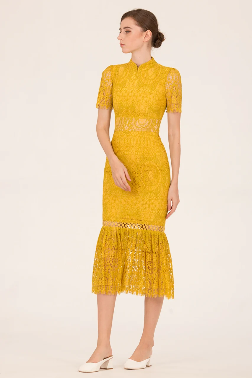 Dumokwang (Sunflower Yellow) - Image 5