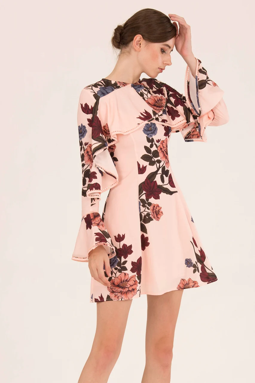 Dameiyue (Peach) - Image 2
