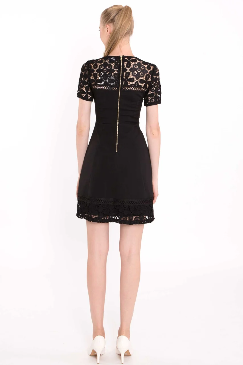 Derzavi (Black) - Image 3