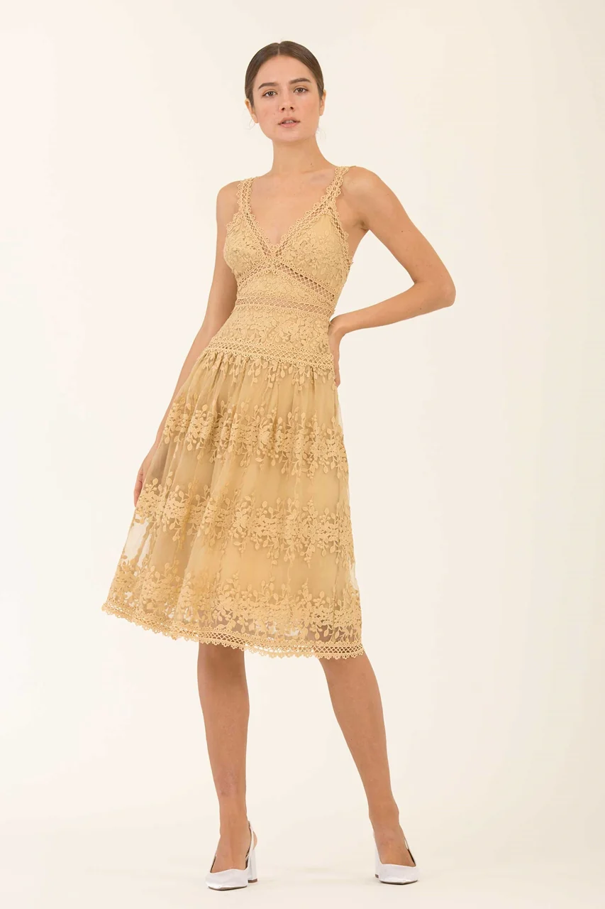 Dheanye (Buttercup) - Image 2
