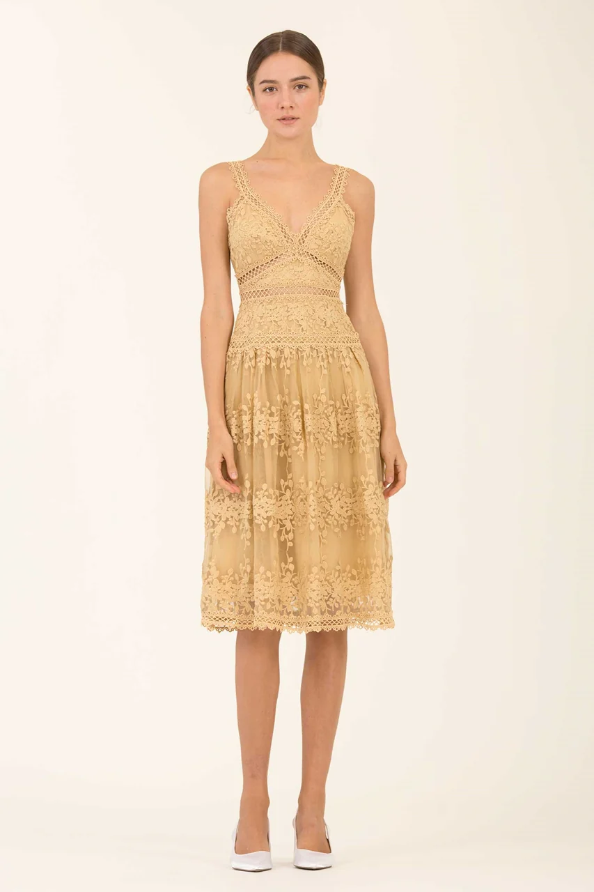 Dheanye (Buttercup) - Image 3