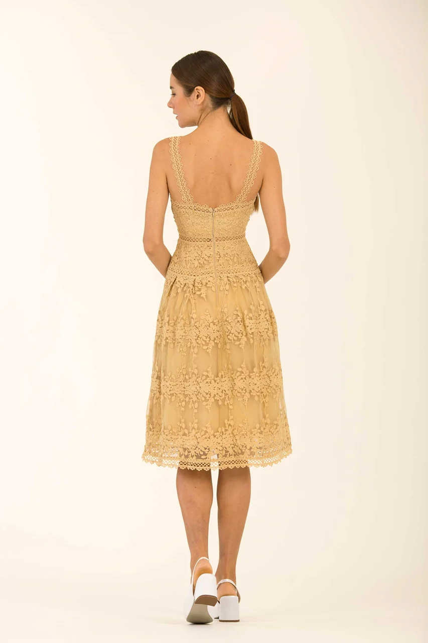 Dheanye (Buttercup) - Image 4