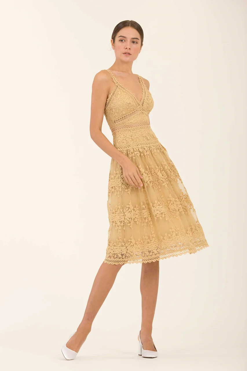 Dheanye (Buttercup) - Image 5