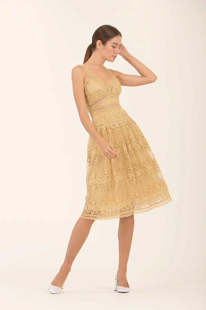Dheanye (Buttercup) - Image 6