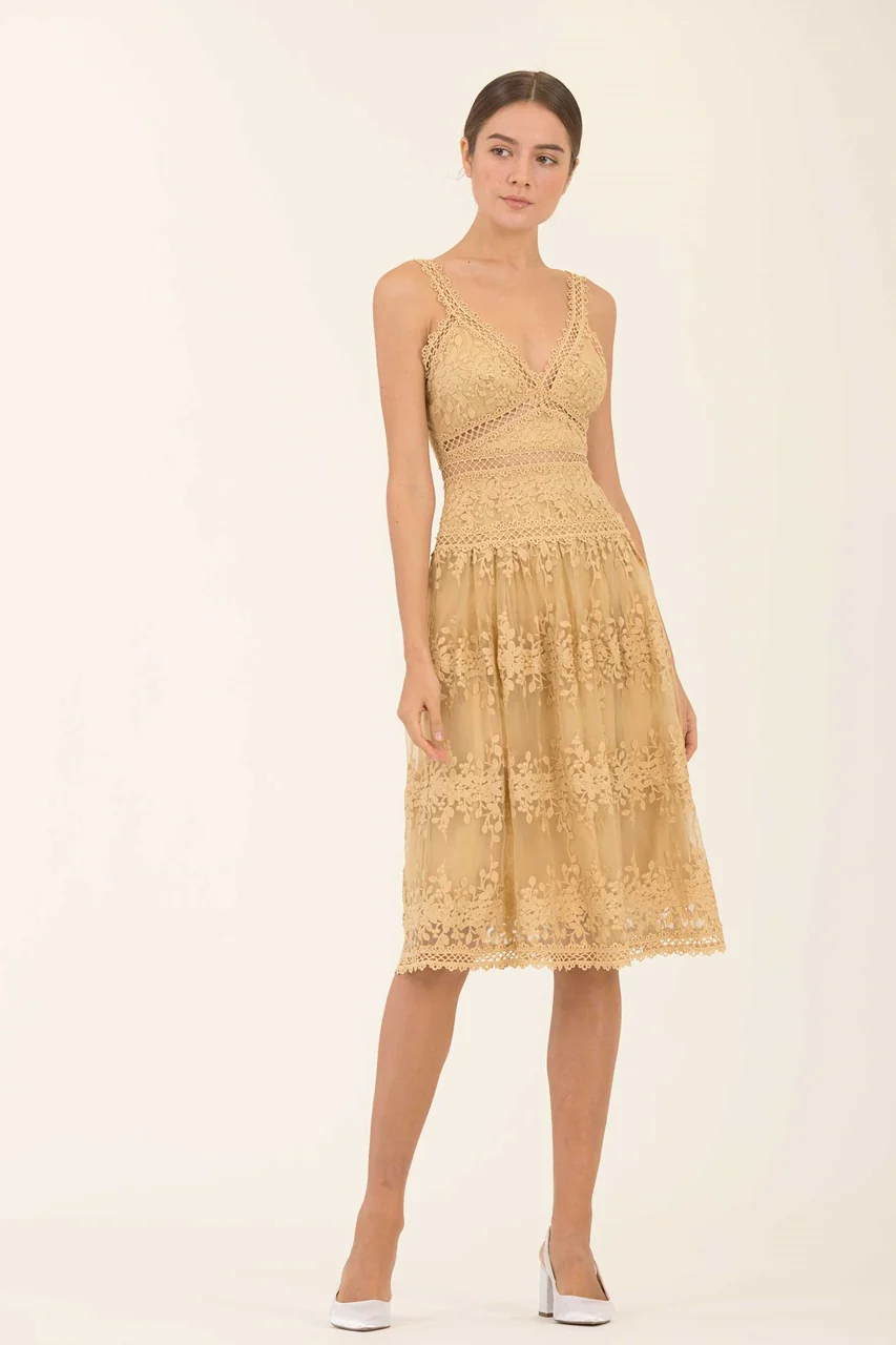 Dheanye (Buttercup) - Image 7
