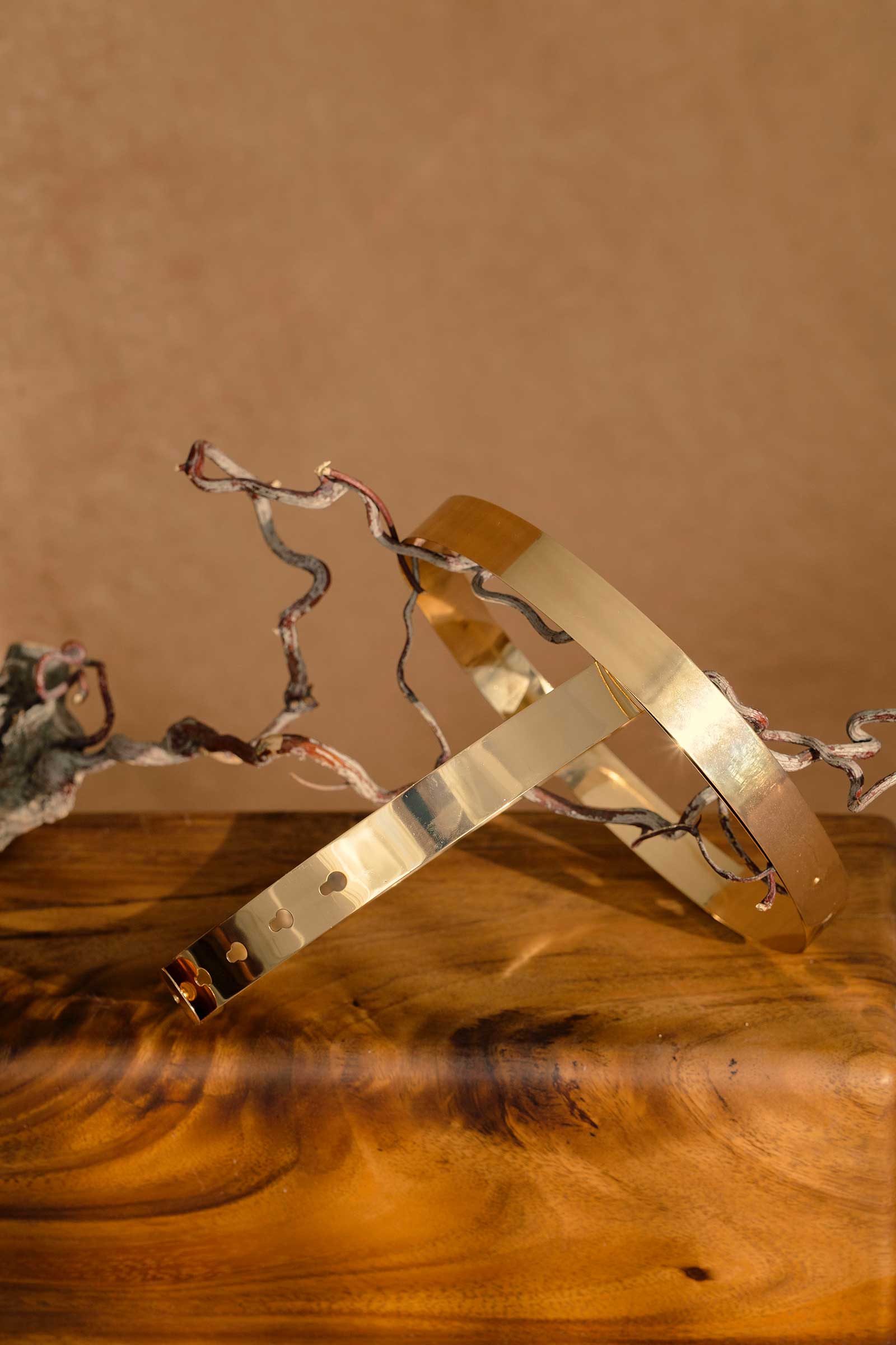 Delt (Gold) (NON RETURNABLE) - Image 4