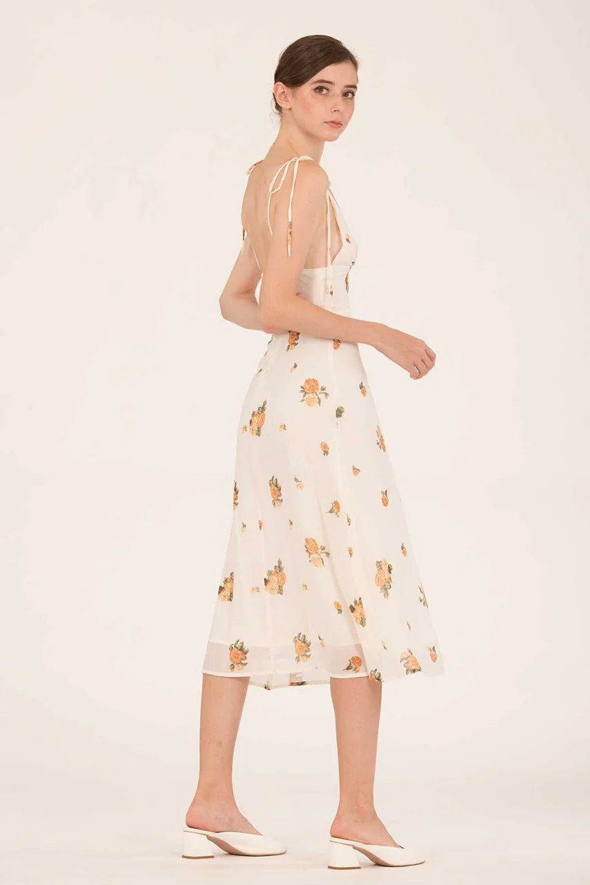 Deroliayax (Cream) - Image 6