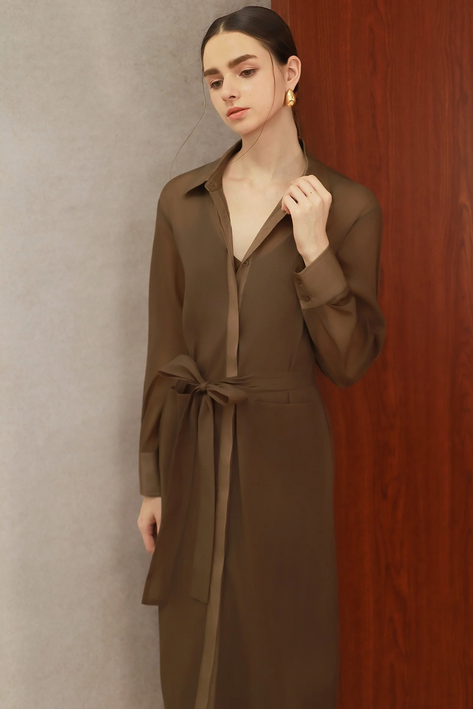 Seren Silk Shirtdress (Mocha) - Image 5