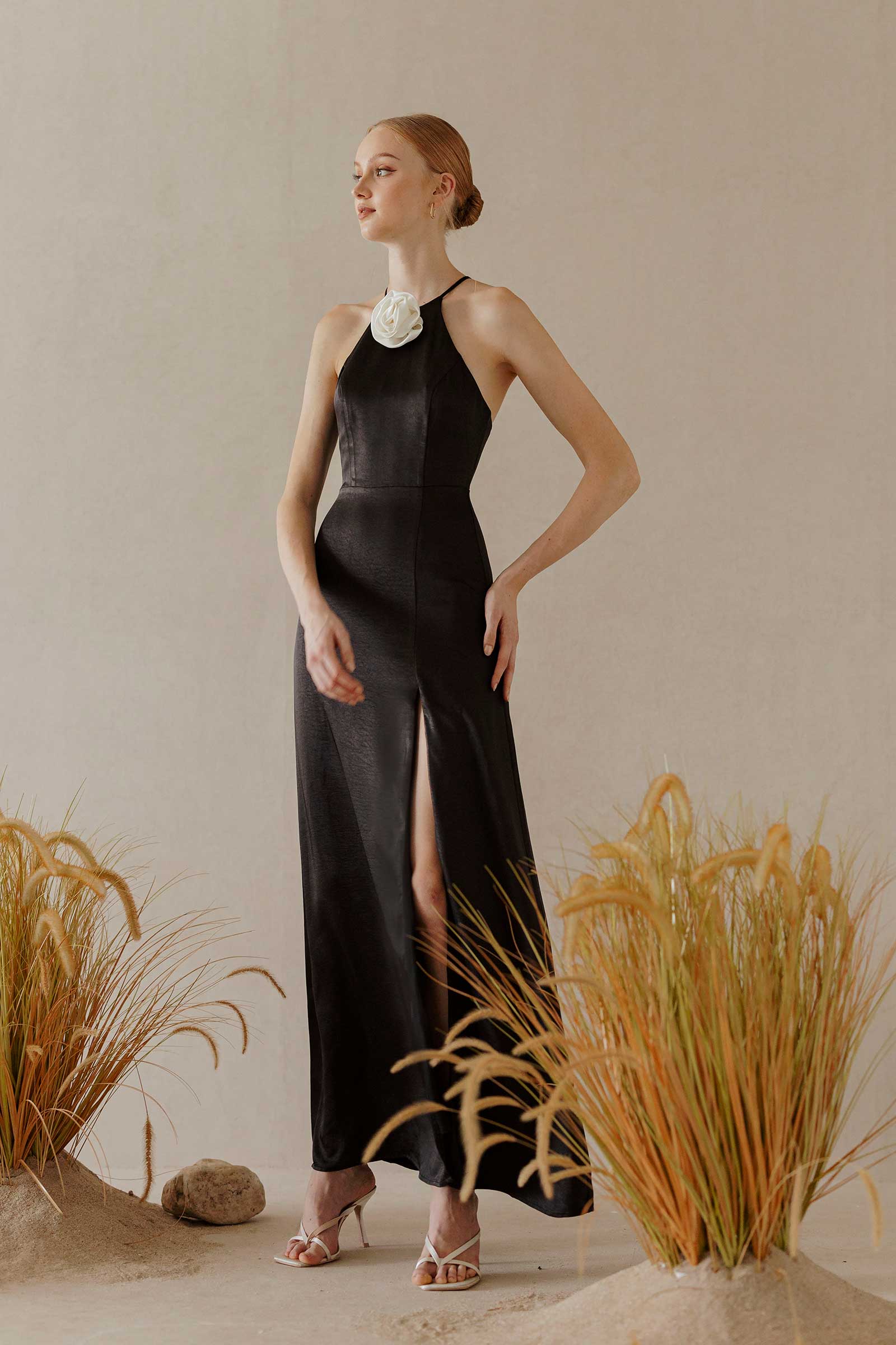 Dove (Black) - Image 3