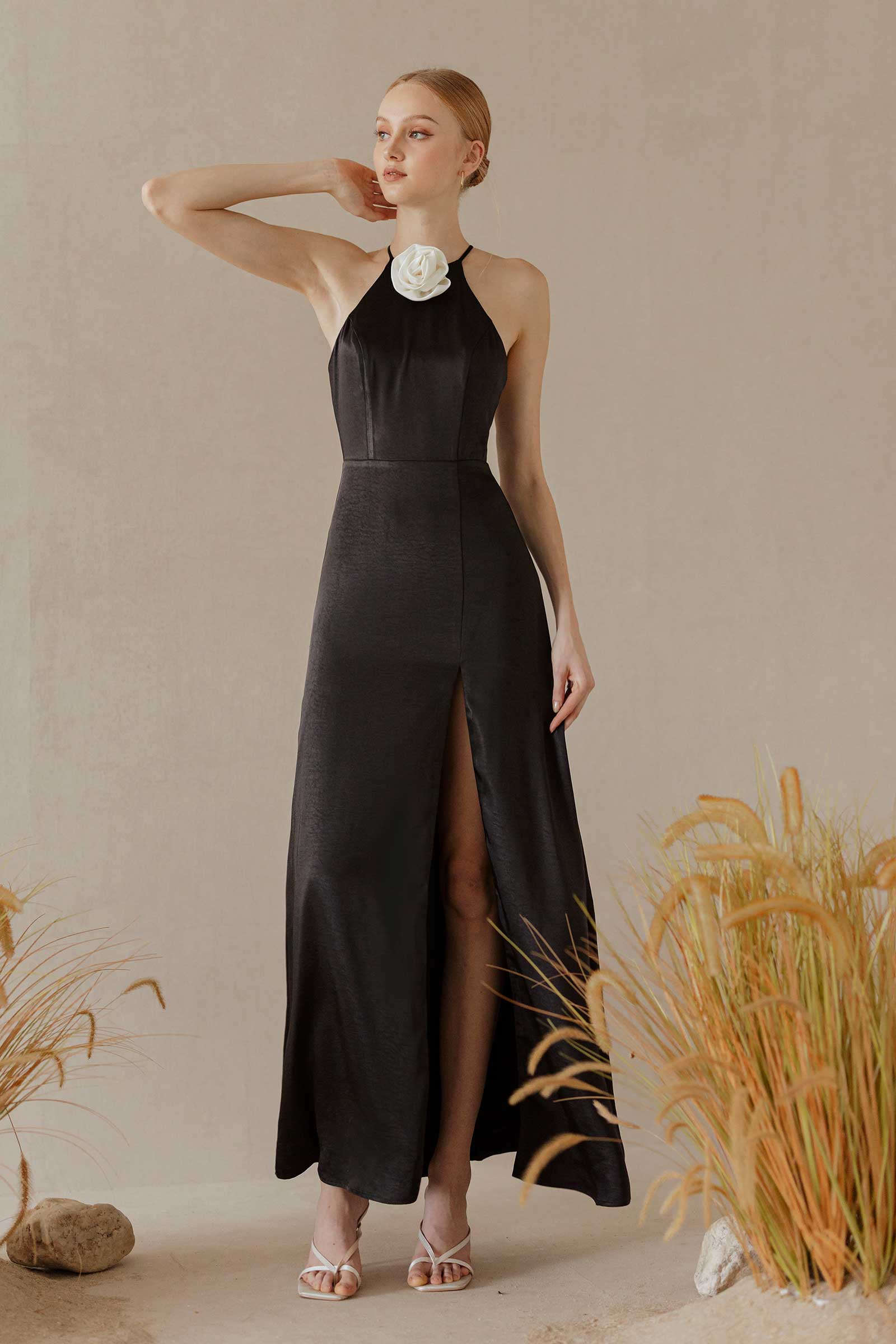 Dove (Black) - Image 5