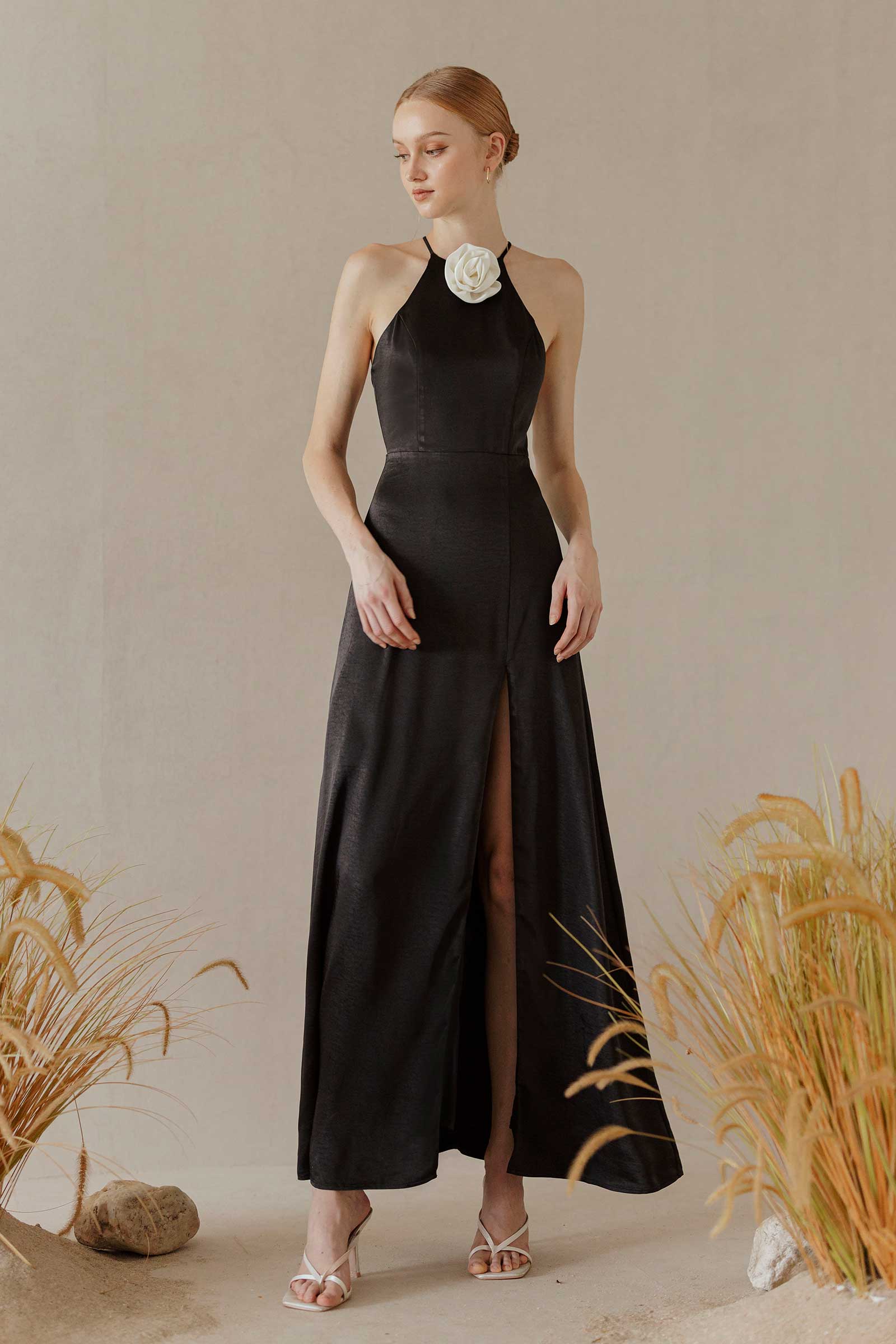 Dove (Black) - Image 7