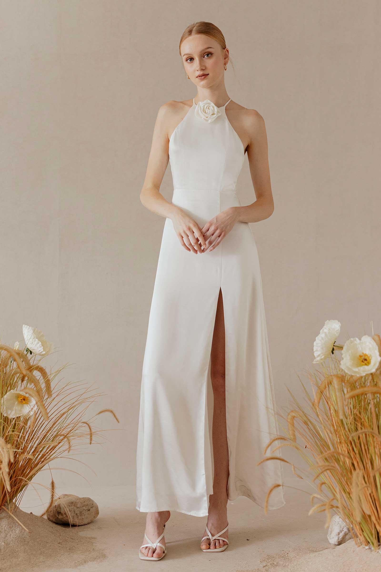 Dove (Snow) - Image 10